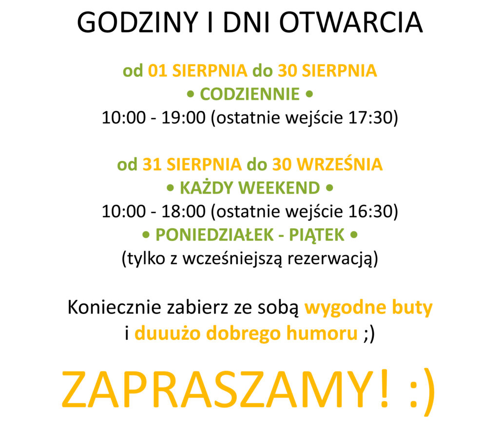 cennik i godziny — kolor
